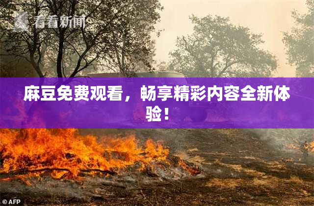 麻豆免费观看，畅享精彩内容全新体验！