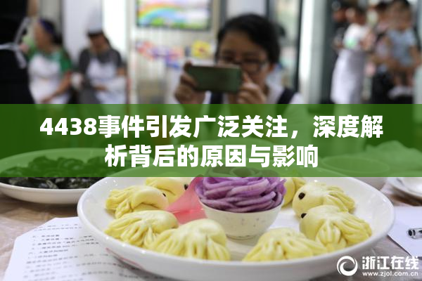 4438事件引发广泛关注，深度解析背后的原因与影响
