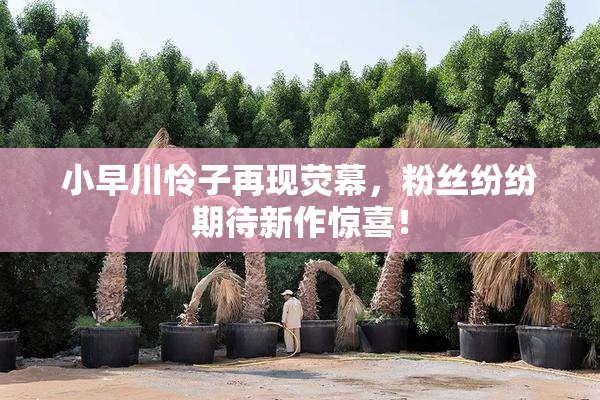 小早川怜子再现荧幕，粉丝纷纷期待新作惊喜！
