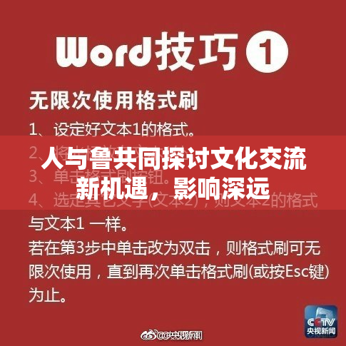 人与鲁共同探讨文化交流新机遇，影响深远