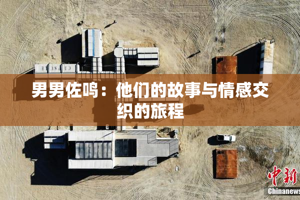 男男佐鸣：他们的故事与情感交织的旅程