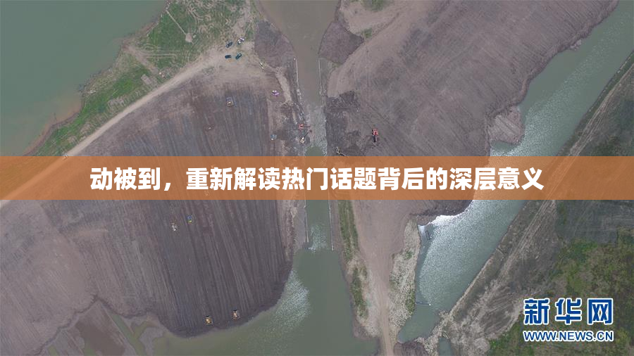 动被到，重新解读热门话题背后的深层意义