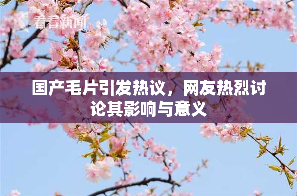 国产毛片引发热议，网友热烈讨论其影响与意义