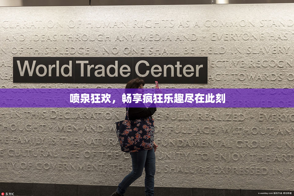 喷泉狂欢，畅享疯狂乐趣尽在此刻