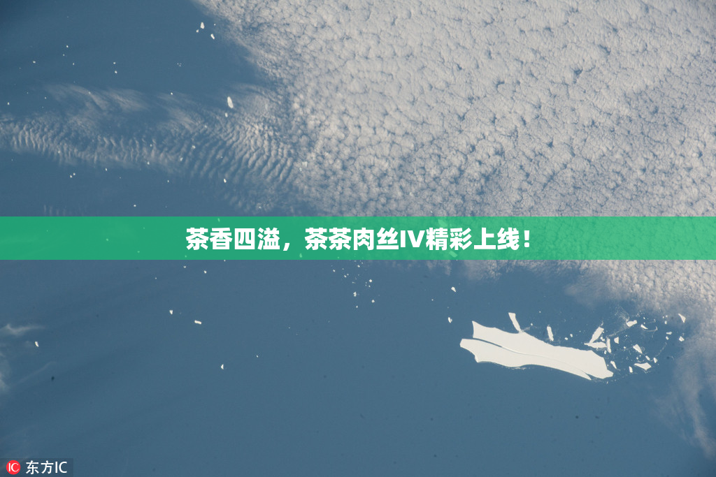 茶香四溢，茶茶肉丝IV精彩上线！