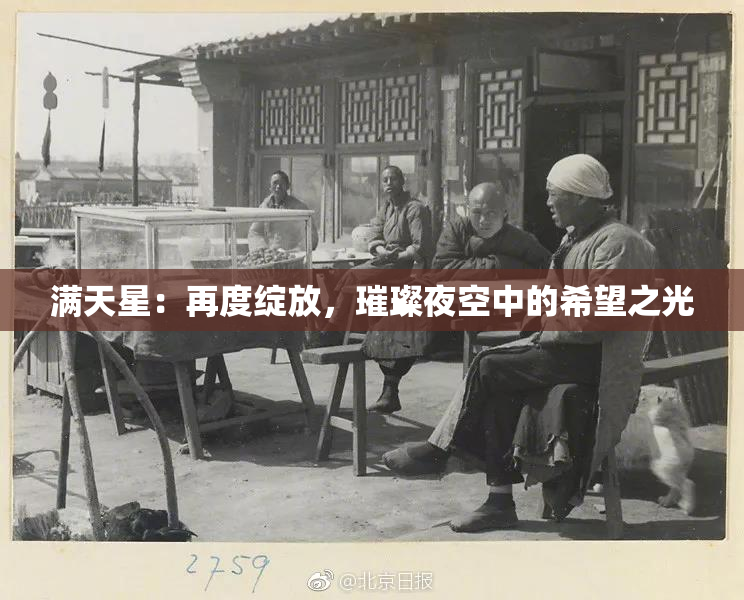 满天星：再度绽放，璀璨夜空中的希望之光