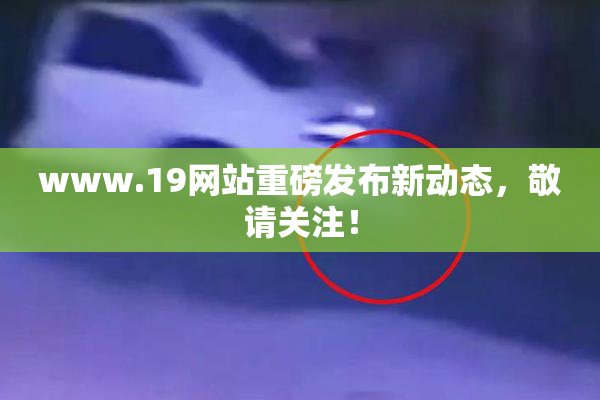www.19网站重磅发布新动态，敬请关注！