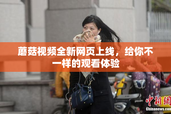 蘑菇视频全新网页上线，给你不一样的观看体验