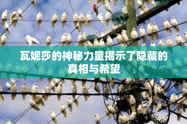 瓦妮莎的神秘力量揭示了隐藏的真相与希望