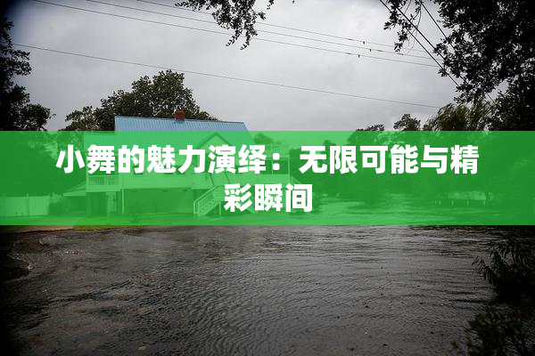 小舞的魅力演绎：无限可能与精彩瞬间