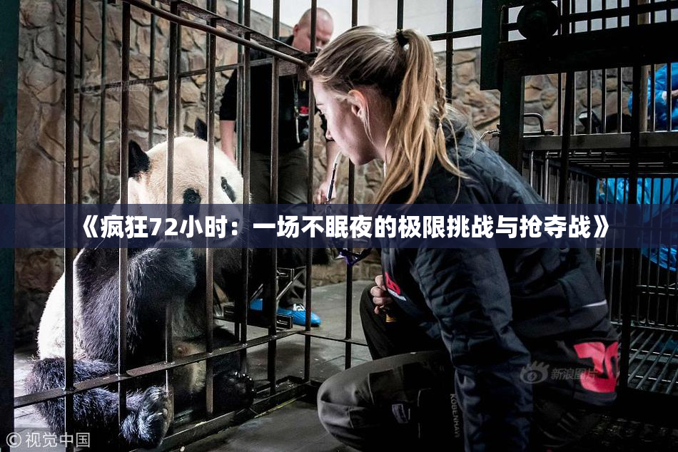 《疯狂72小时：一场不眠夜的极限挑战与抢夺战》
