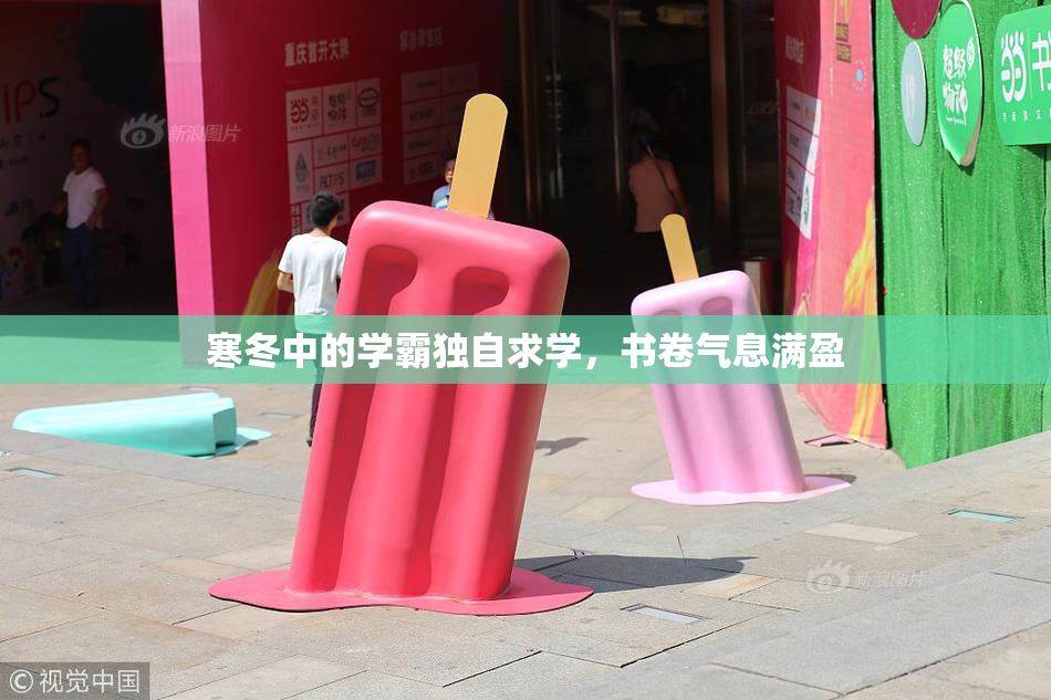 寒冬中的学霸独自求学，书卷气息满盈
