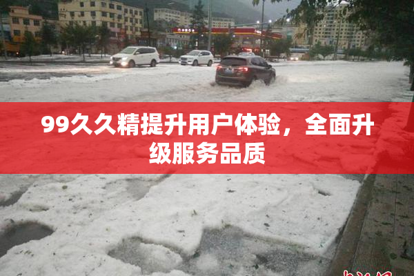 99久久精提升用户体验，全面升级服务品质