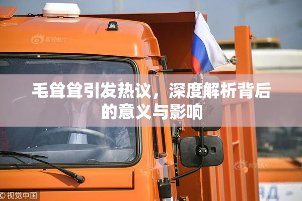 毛耸耸引发热议，深度解析背后的意义与影响