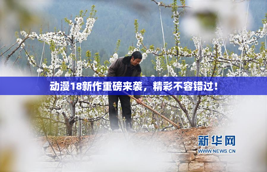 动漫18新作重磅来袭，精彩不容错过！