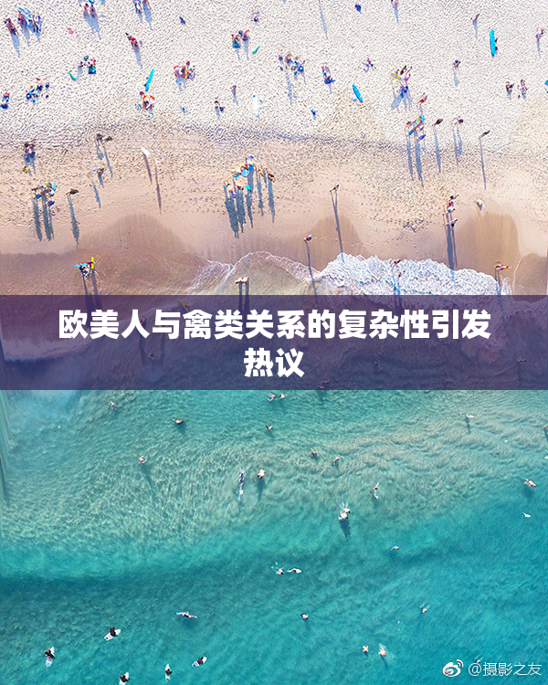 欧美人与禽类关系的复杂性引发热议