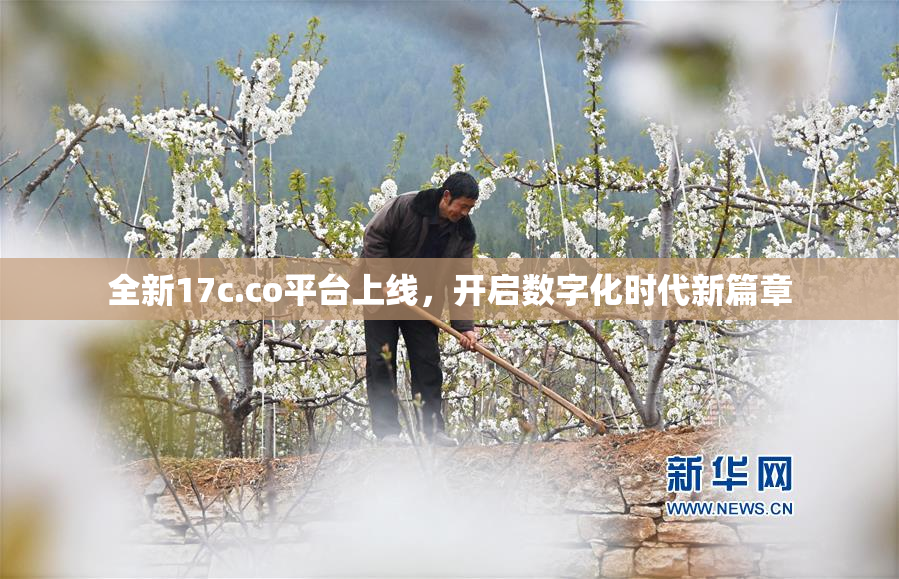 全新17c.co平台上线，开启数字化时代新篇章
