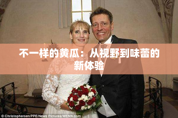 不一样的黄瓜：从视野到味蕾的新体验