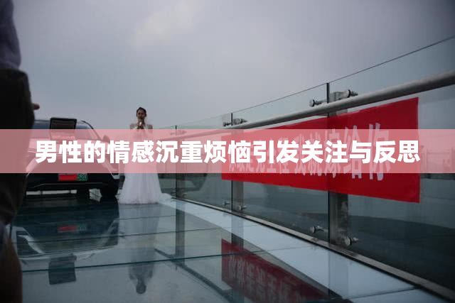 男性的情感沉重烦恼引发关注与反思