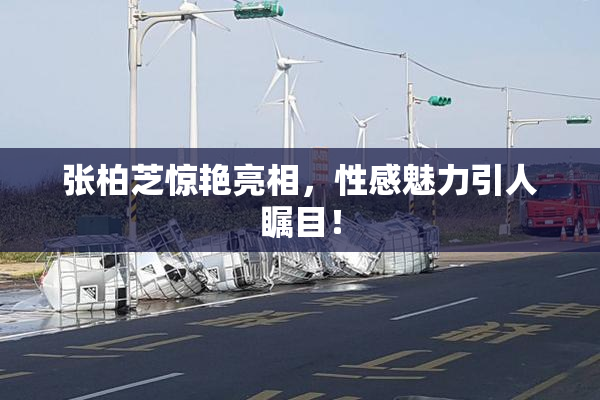 张柏芝惊艳亮相，性感魅力引人瞩目！