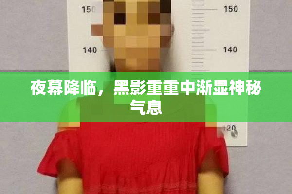 夜幕降临，黑影重重中渐显神秘气息