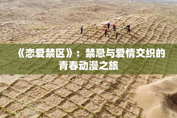 《恋爱禁区》：禁忌与爱情交织的青春动漫之旅