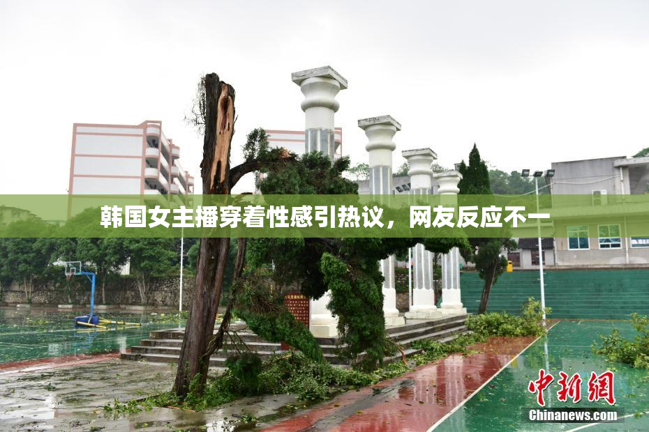 韩国女主播穿着性感引热议，网友反应不一