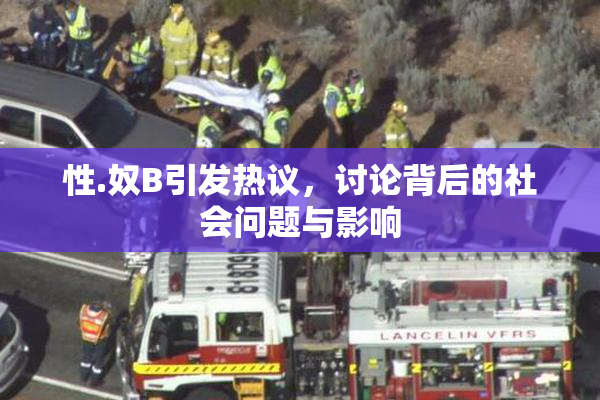性.奴B引发热议，讨论背后的社会问题与影响