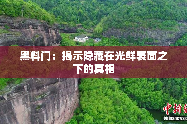 黑料门：揭示隐藏在光鲜表面之下的真相