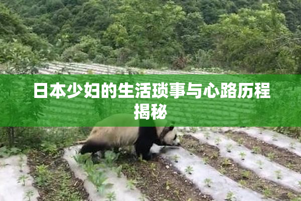 日本少妇的生活琐事与心路历程揭秘