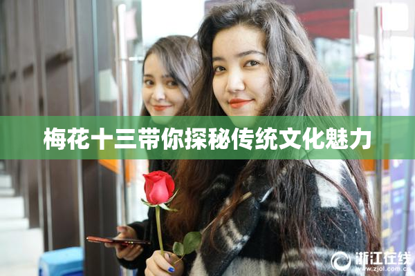 梅花十三带你探秘传统文化魅力