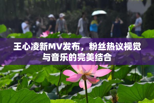 王心凌新MV发布，粉丝热议视觉与音乐的完美结合