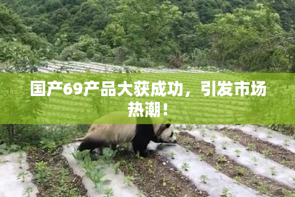 国产69产品大获成功，引发市场热潮！