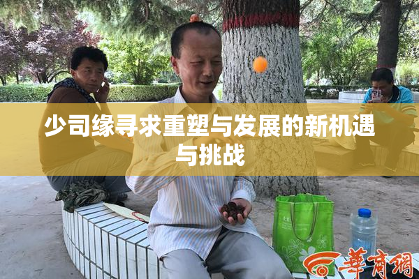 少司缘寻求重塑与发展的新机遇与挑战