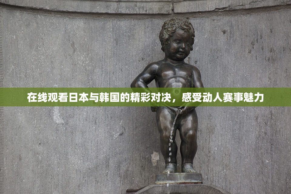 在线观看日本与韩国的精彩对决，感受动人赛事魅力