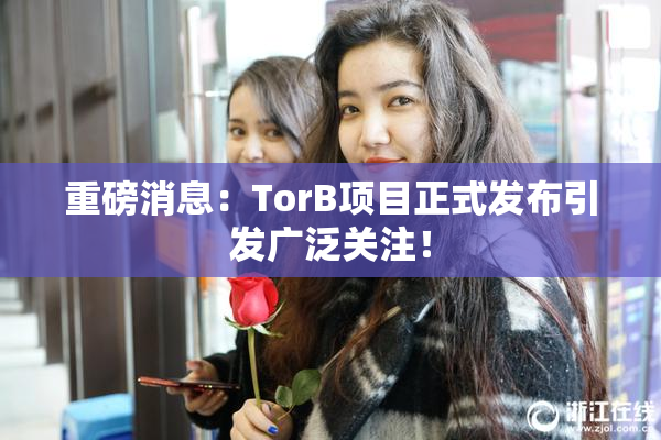 重磅消息：TorB项目正式发布引发广泛关注！