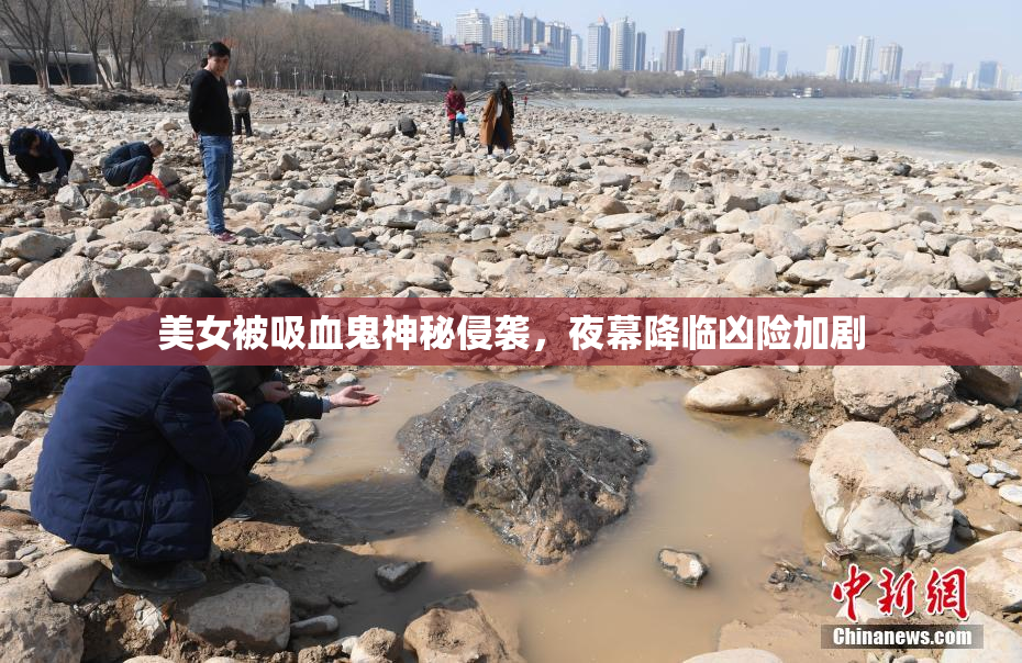 美女被吸血鬼神秘侵袭，夜幕降临凶险加剧