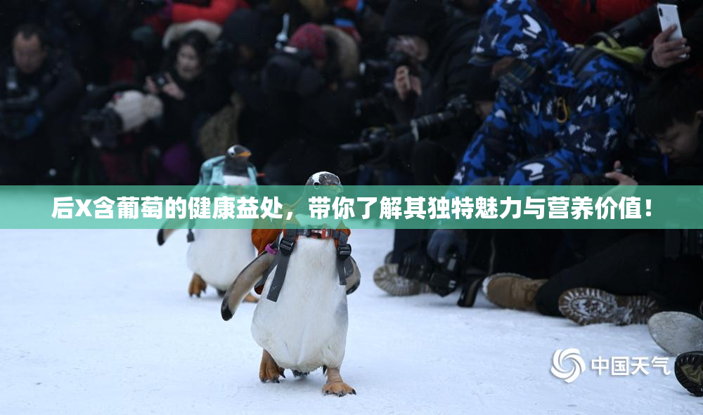 后X含葡萄的健康益处，带你了解其独特魅力与营养价值！