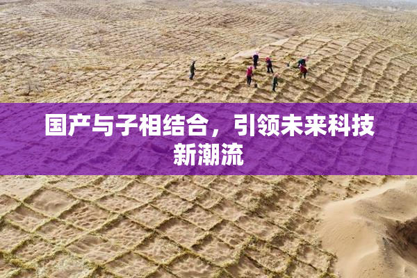 国产与子相结合，引领未来科技新潮流