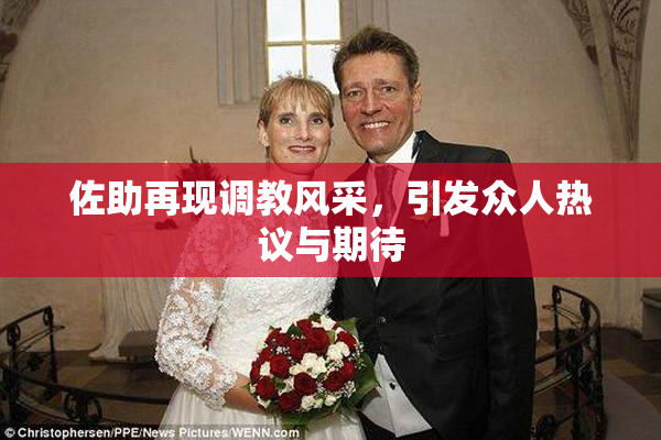 佐助再现调教风采，引发众人热议与期待