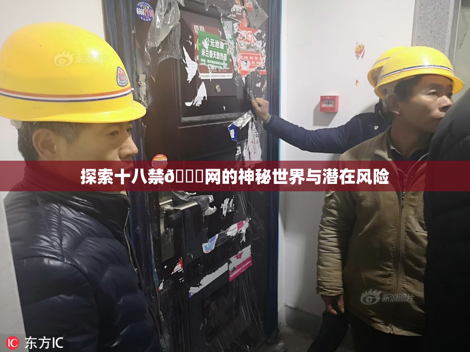 探索十八禁🔞网的神秘世界与潜在风险