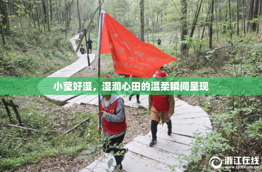 小莹好湿，湿润心田的温柔瞬间呈现