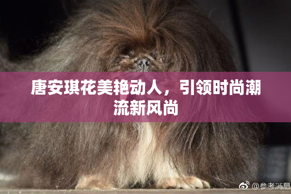 唐安琪花美艳动人，引领时尚潮流新风尚