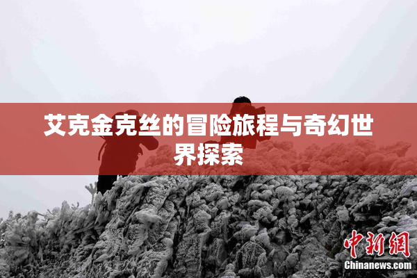 艾克金克丝的冒险旅程与奇幻世界探索