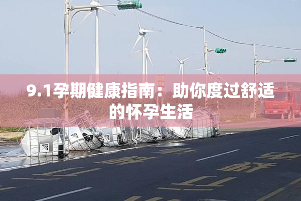 9.1孕期健康指南：助你度过舒适的怀孕生活