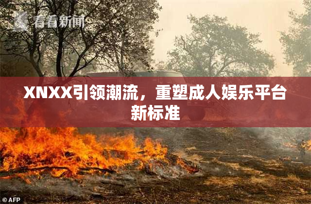 XNXX引领潮流，重塑成人娱乐平台新标准