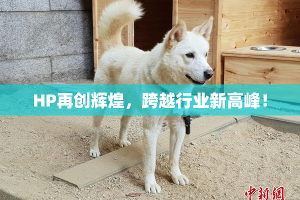 HP再创辉煌，跨越行业新高峰！