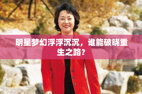 明星梦幻浮浮沉沉，谁能破晓重生之路？