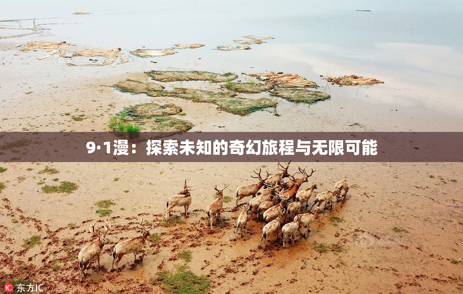 9·1漫：探索未知的奇幻旅程与无限可能