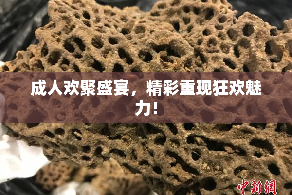 成人欢聚盛宴，精彩重现狂欢魅力！